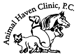 Animal Haven Clinic